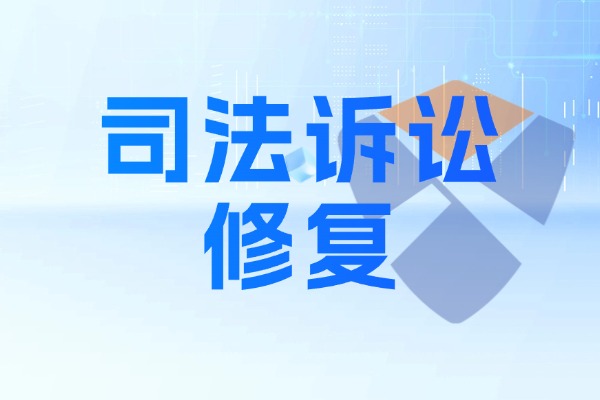 中国裁判文书网/庭审公开网/全国执行公开网