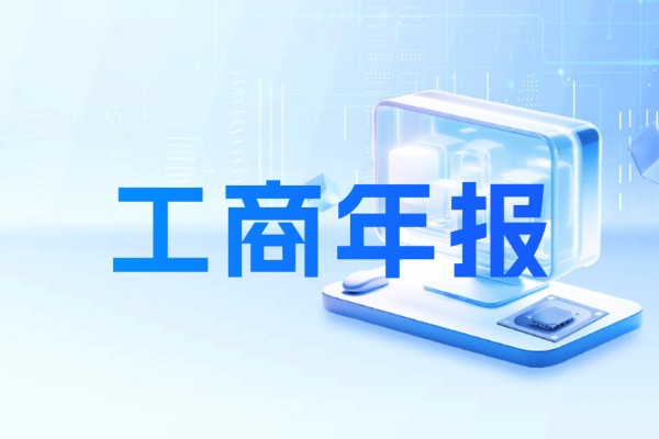 工商年报